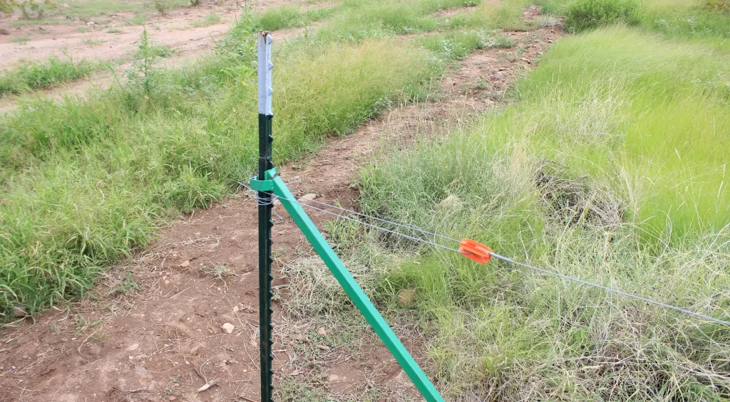 IMG_1159.webp